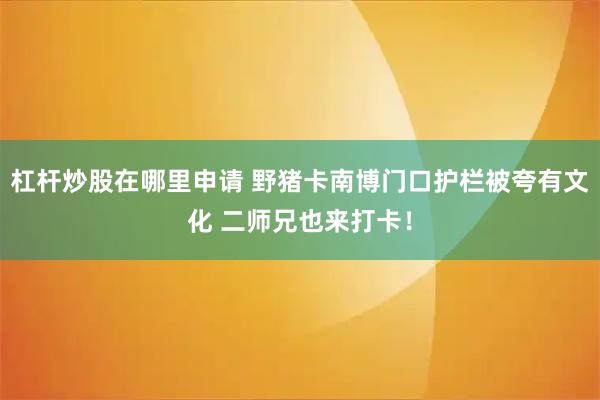 杠杆炒股在哪里申请 野猪卡南博门口护栏被夸有文化 二师兄也来打卡！