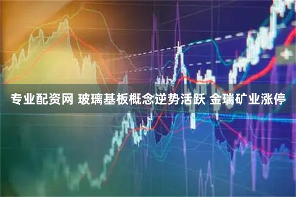 专业配资网 玻璃基板概念逆势活跃 金瑞矿业涨停